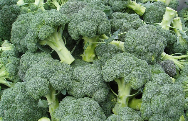 Brokoliyi her ay sadece 3 kez tüketirseniz…