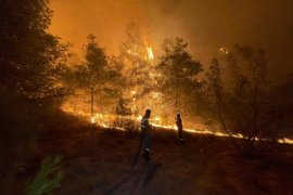 Milas iki farklı noktadan yanıyor, söndürme çalışmaları devam ediyor. Muğla genelinde 7 yangın peşe peşe çıktı
