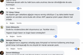 YK Enerji’den Gazetemize Sansür, Zeytin Taşıma Operasyonuna Tepki Çığ Gibi Büyüyor