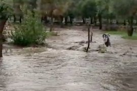 Ormanlar yandı, Çökertme’yi yine sel vurdu..