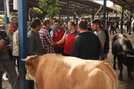 Kurban Bayramı Öncesi Hayvan Pazarı Denetimi