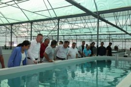 Vali Akbıyık, Milas’ta Su Ürünleri Tesislerini ve Topraksız Tarım Bölgesini İnceledi