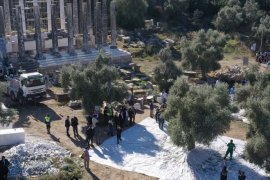 Milas’ta 11. Zeytin Hasat Şenliği Coşkusu …