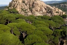 8.500 Yıllık Mirasa Sahip Latmos İçin Birlik Çağrısı