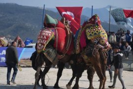 Pehlivan Develer Arenada Kozlarını Paylaştı