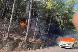 Araç Yangını Ormana Sıçradı: Ekipler Zamanında Müdahale Etti
