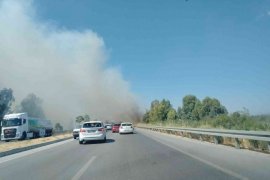 Yangın, Söke yolunu trafiğe kapadı