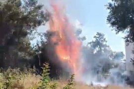 Kıyıkışlacık Zeytinlikuyu Mevkiinde Çıkan Yangın Kısa Sürede Söndürüldü