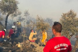 Milas Pınarcık ve Bafa’daki Yangınlar Kontrol Altına Alındı