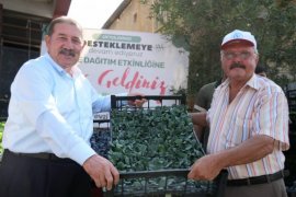 Milas Belediyesi’nden Çiftçilere 250 Bin TL’lik Fide Desteği