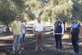 Milas Pınarcık ve Bafa’daki Yangınlar Kontrol Altına Alındı