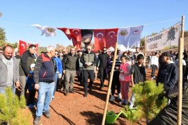 Çamovalı Mahallesi'nde Fidanlar ve Tohumlar Toprakla Buluştu