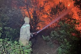 Milas iki farklı noktadan yanıyor, söndürme çalışmaları devam ediyor. Muğla genelinde 7 yangın peşe peşe çıktı