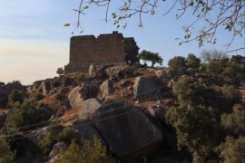 ATHENA’NIN İNEKLERİ