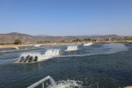 Vali Akbıyık, Milas’ta Su Ürünleri Tesislerini ve Topraksız Tarım Bölgesini İnceledi