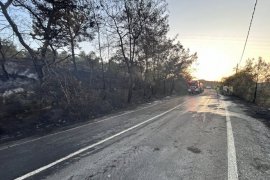 Yine Güllük, Yine Yangın, Yine Elektrik Kaynaklı