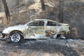 Araç Yangını Ormana Sıçradı: Ekipler Zamanında Müdahale Etti