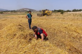 Dane Kaybı ve Anız Yangınlarına Karşı Denetim