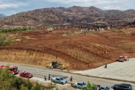 Milas ve Diğer İlçelerde Fidan Dikilecek