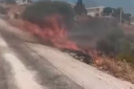 Milas'ta Aynı Gün 5 Ayrı Noktada Alevlerle Mücadele Edildi