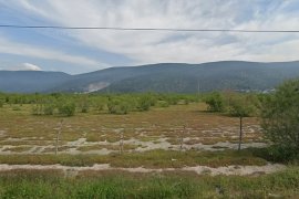 Vali Akbıyık, Milas’ta Su Ürünleri Tesislerini ve Topraksız Tarım Bölgesini İnceledi