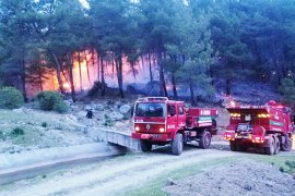 Orman yangınları Muğla’da yaz-kış dinlemiyor!.. SON HAFTADA 6 ORMAN YANGINI..