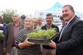 Milas Belediyesi’nden 300 Üreticiye Fide