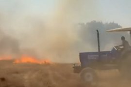 Milas'ta Aynı Gün 5 Ayrı Noktada Alevlerle Mücadele Edildi