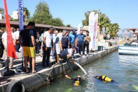 Milas Boğaziçi’nde 160 Bin Yavru Balık Denizle Buluştu