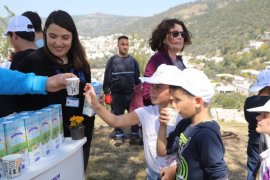 Orman Haftası’nda zeytin fidanları topakla buluştu