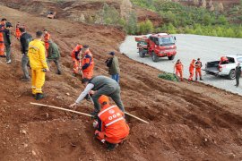 Milas ve Diğer İlçelerde Fidan Dikilecek