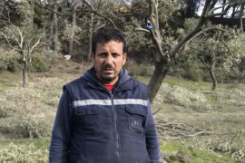Milas'ta Zeytinlik Krizi: YK Enerji’nin Faaliyetleri Tepki Çekiyor