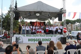 Zeytin hasat şenliği sona erdi