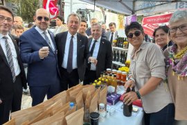 Milas’ta 11. Zeytin Hasat Şenliği Coşkusu …