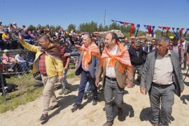 Boğalar Karan Bebek’i yaşatmak için güreşti