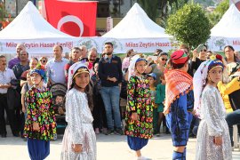 Zeytin hasat şenliği sona erdi