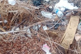 Bu Dere Başka Dere...