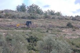 Nejla Işık’tan Çağrı: “Milas Ayağa Kalk, Akbelen’e Sahip Çık”