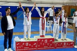 Minik Taekwondoculardan 14 Madalya