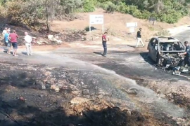 Milas Kıyıkışlacık Yolunda Araç Yangını Ormana Sıçradı