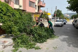 Milas Belediyesi Ekiplerinden Anında Müdahale