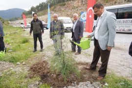 Muhtarlar tarafından Milas Muhtarlar Derneği Hatıra Ormanı oluşturuluyor