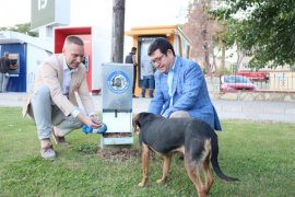 Milas'ta 4 Ekim Sokak Hayvanları Koruma Günü kutlandı...