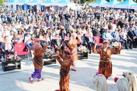 Zeytin Hasat Şenliği’nde, “Ortak Akıl” Yara Aldı..