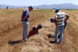 Dane Kaybı ve Anız Yangınlarına Karşı Denetim