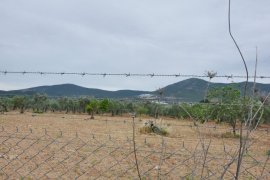 Milas’ın Üzüm Bağı Kaderine Mi Terkedildi?..