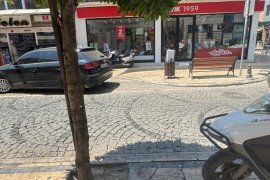 Milas’ın Caddelerindeki Siyah Görüntünün Nedeni Hasta Ağaçlar