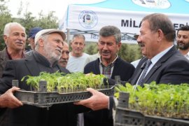 Milas Belediyesi’nden 300 Üreticiye Fide