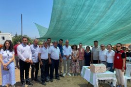 Mahalle sorunları yerinde tespit edildi