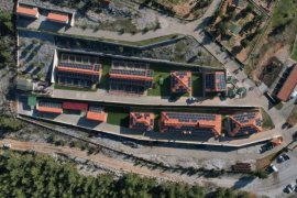 Büyükşehir Geçici Hayvan Bakımevi’nden 3 Bin 779 Can Dosta Yeni Yuva